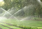 Bruinbunlandscaping-water-management-and-drainage-17.jpg; ?>